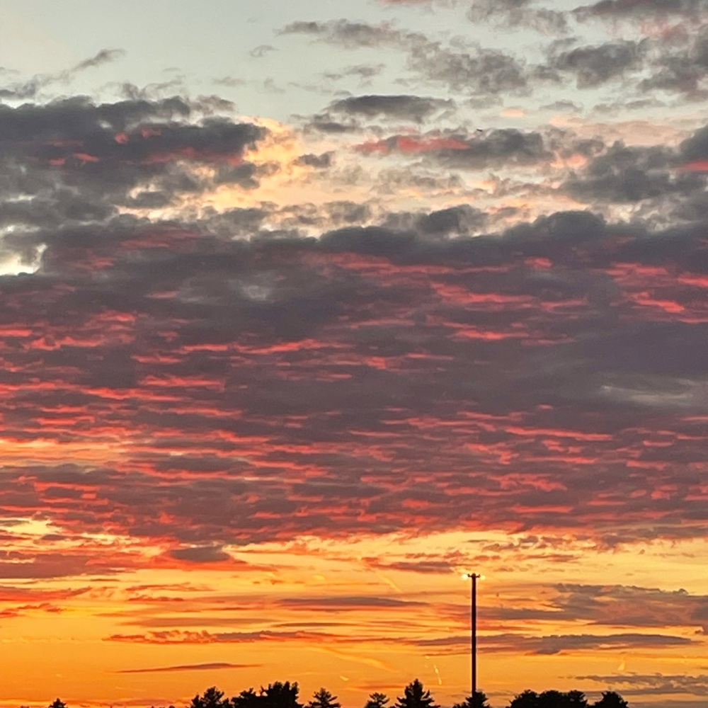 Meet your Posher, Patty